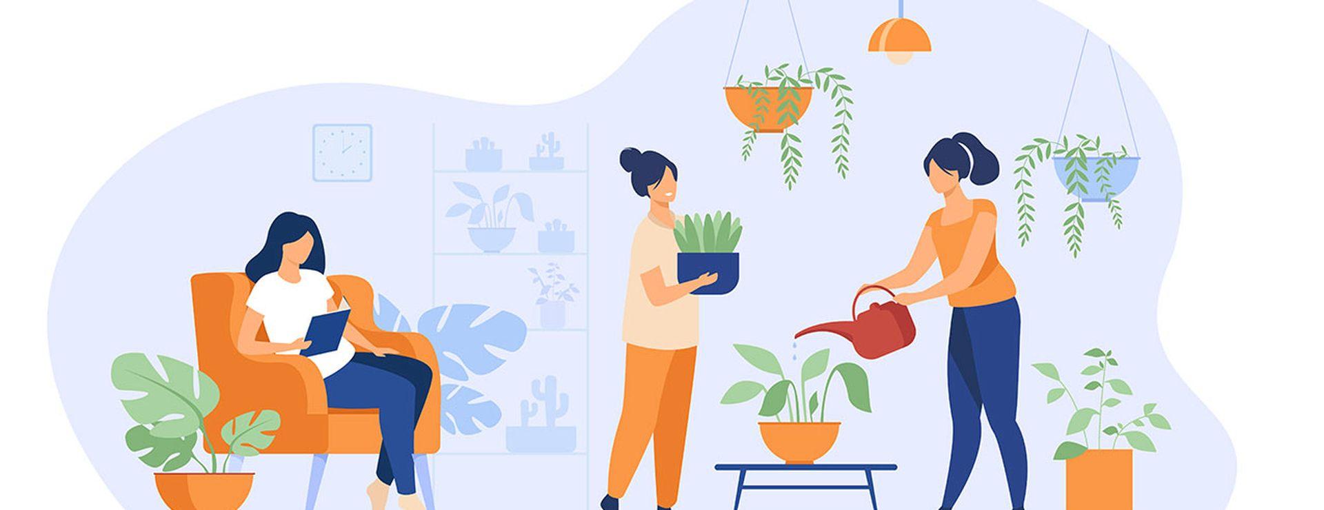 plantfluencer
