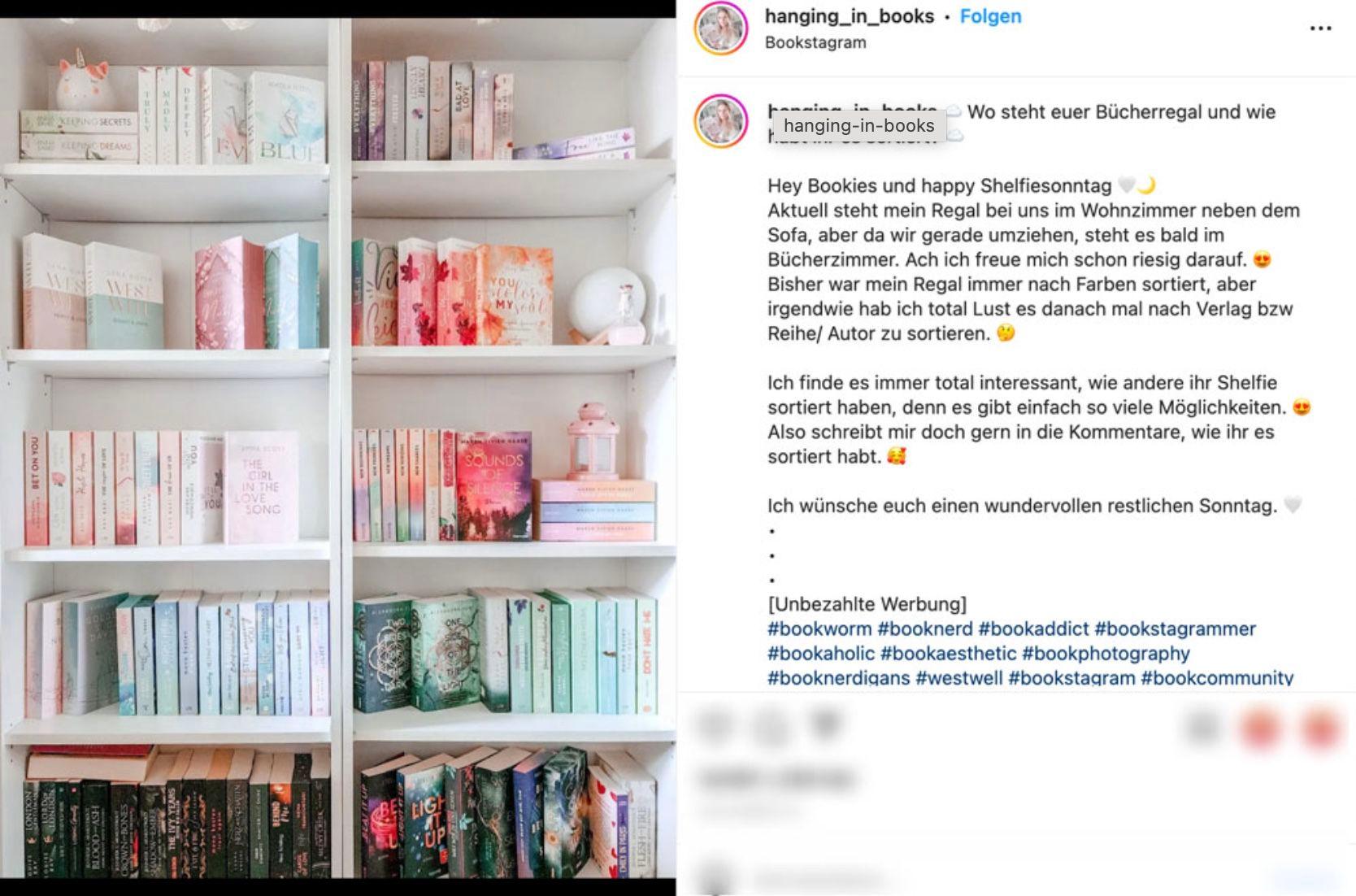 Screenshot Bookfluencer 1