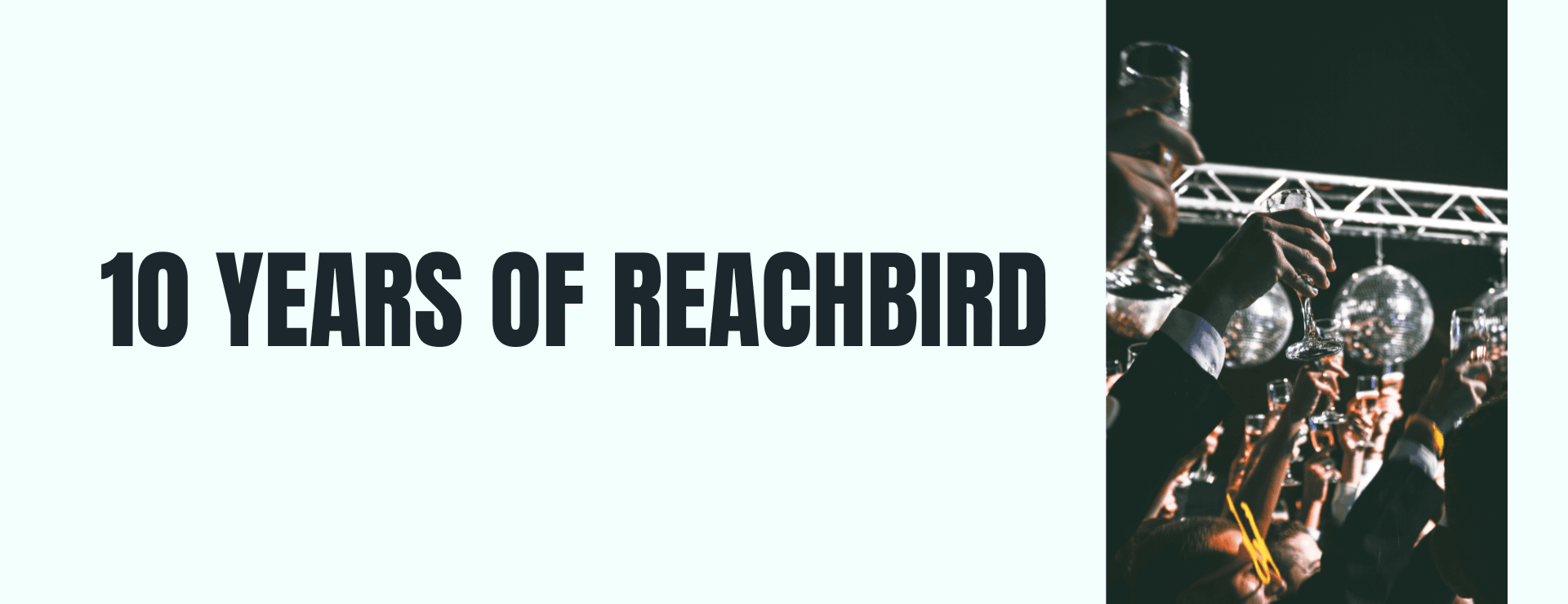 10 years of Reachbird