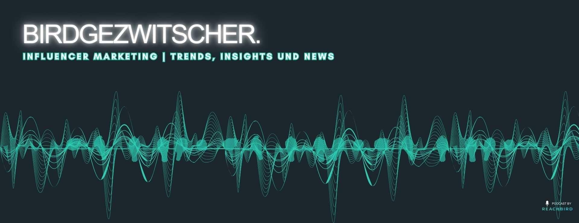 Green sound wave graphic with text "BIRDGEZWITSCHER" and "Influencer Marketing | Trends, Insights und News" on a dark background.