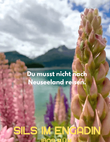 pink flowers with mountains in the background and text layover
