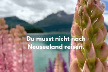 pink flowers with mountains in the background and text layover