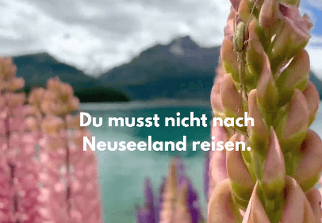 pink flowers with mountains in the background and text layover