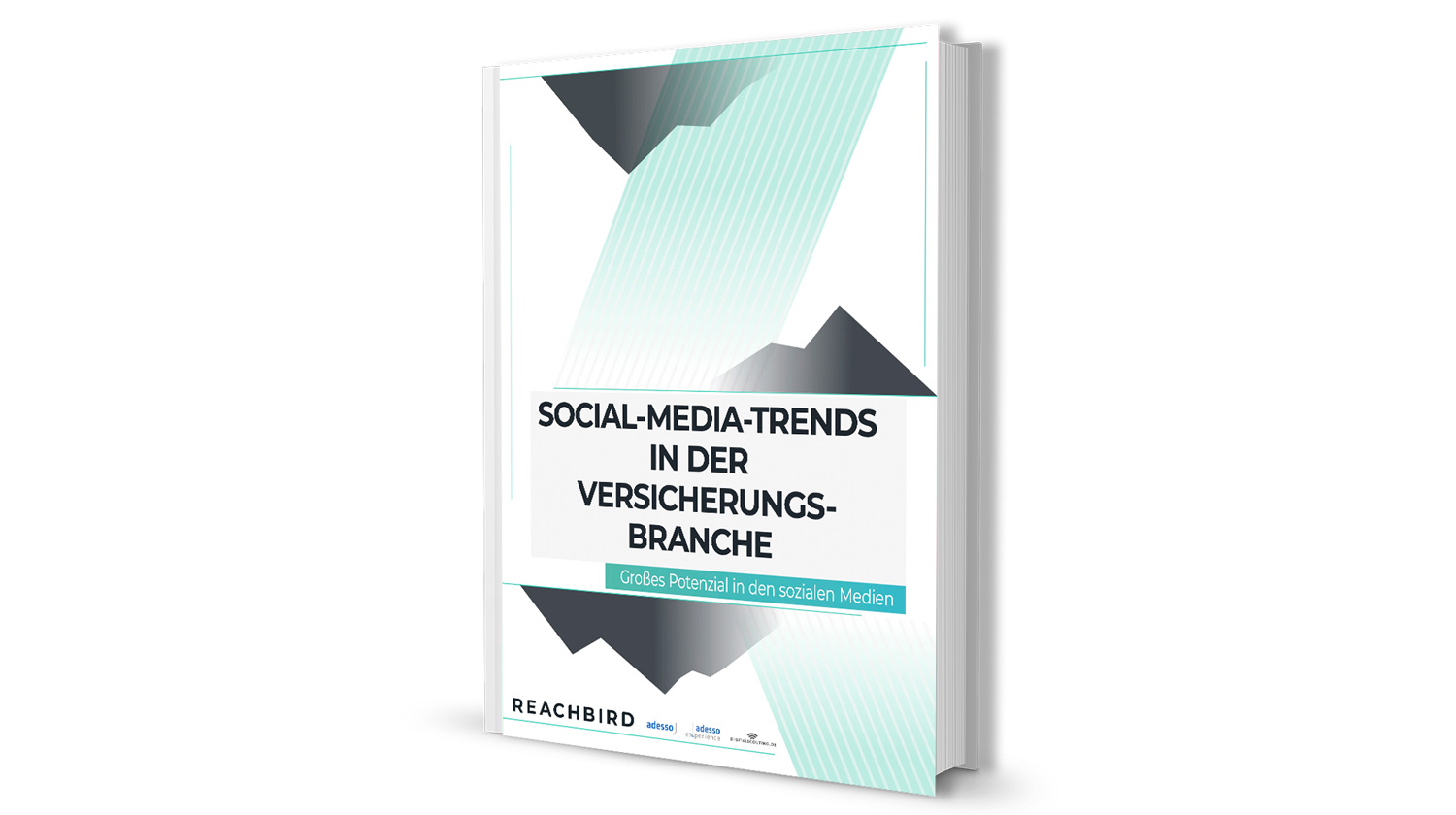 REACHBIRDs PAPER: Social-Media-Trends in der Versicherungsbranche