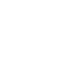 Bayer